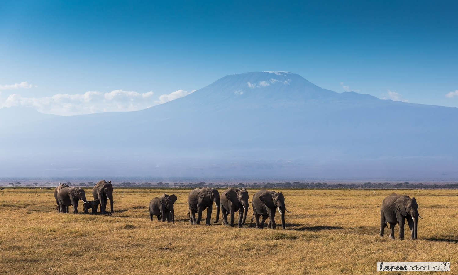 mt.kilimanjaro royal court